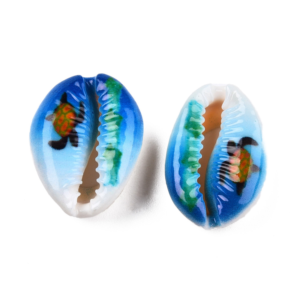 Coquillages cauris tortue de mer x6
