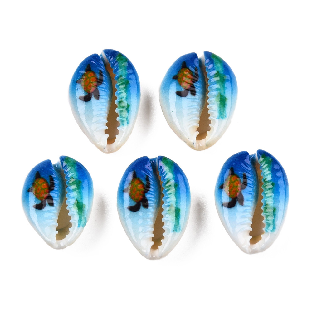 Coquillages cauris tortue de mer x6 – Image 4
