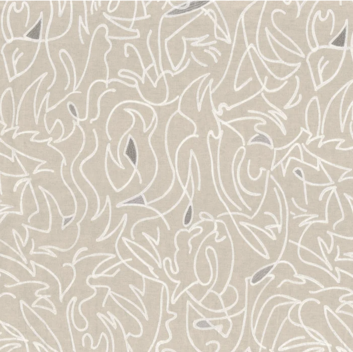 Anamorphose Casamance