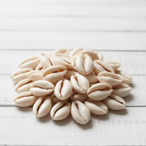 Coquillages Cauris Véritables – Dos Ouvert – Blanc Crème (~20mm) x50