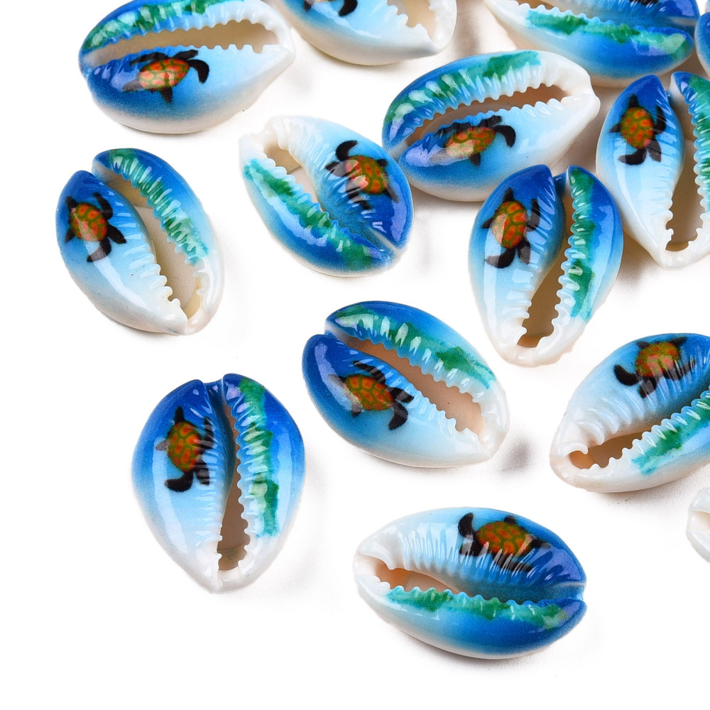 Coquillages cauris tortue de mer x6 – Image 3