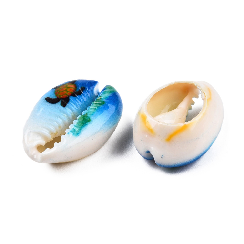 Coquillages cauris tortue de mer x6 – Image 5