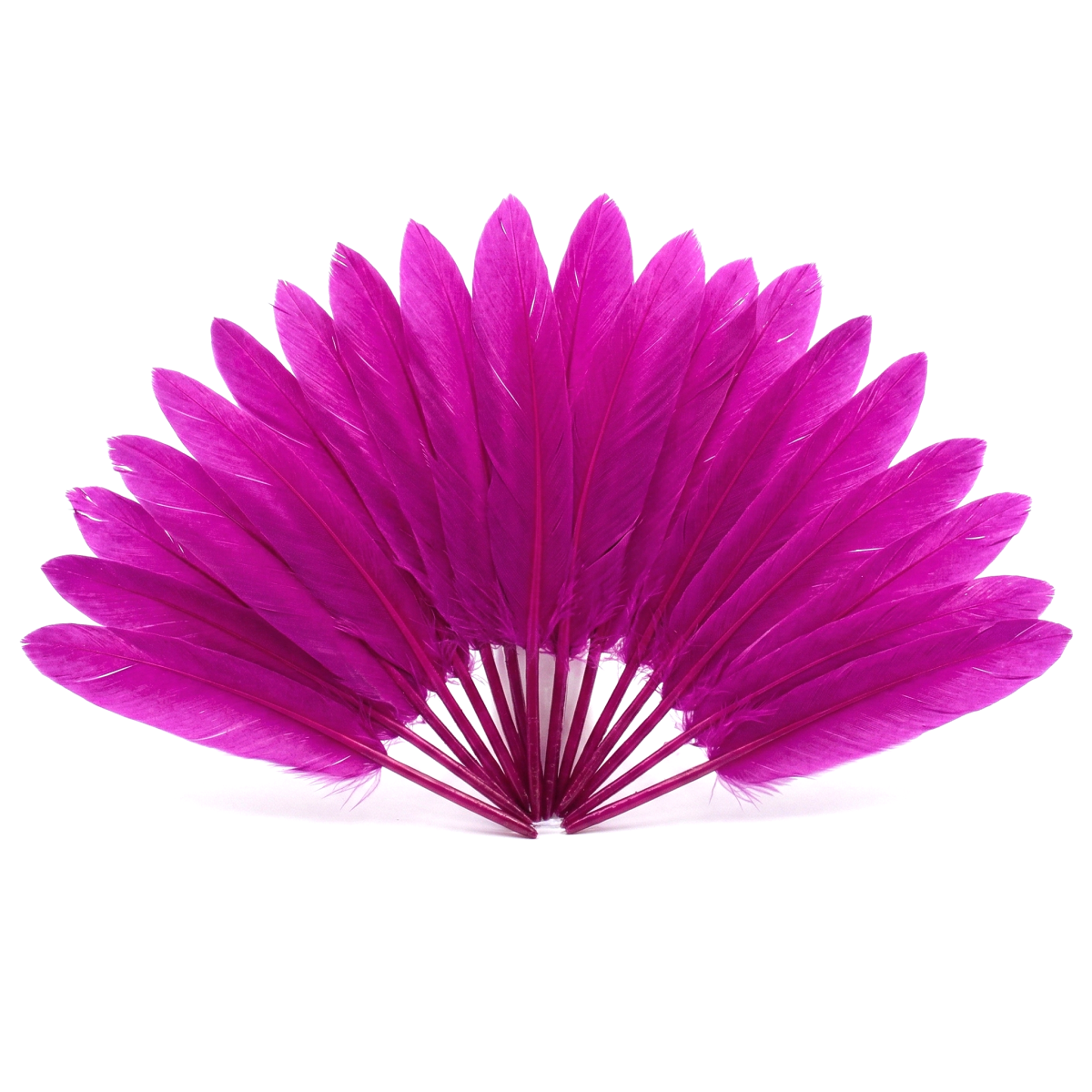 Lot de 20 Plumes d’Oie Fuchsia Naturelles pour Création Bijoux et DIY